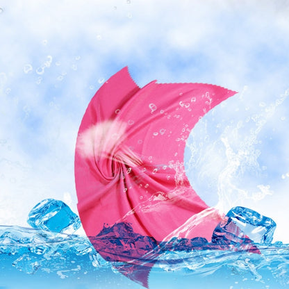 Quick-Dry Cooling Towel — Microfiber Sports & Travel Towel with Case